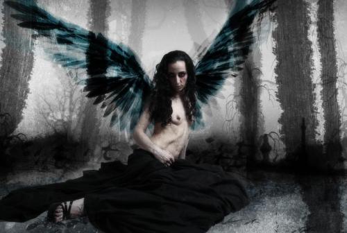 fallenangel6