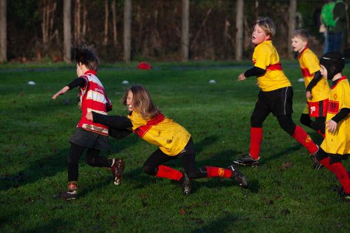 011726-Ramsrfc-TBMapd-11