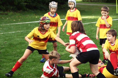 rams-benj-20-9-zwol18