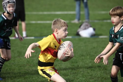 rams-turv-20-9-zwol01