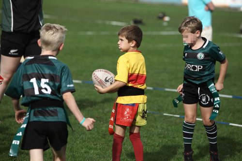 rams-turv-20-9-zwol03