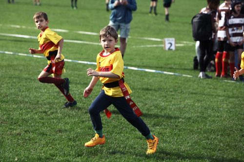 rams-turv-20-9-zwol05