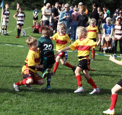 rams-turv-20-9-zwol10