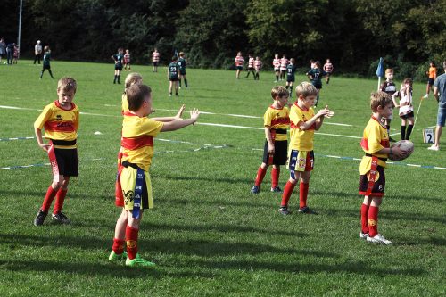 rams-turv-20-9-zwol11