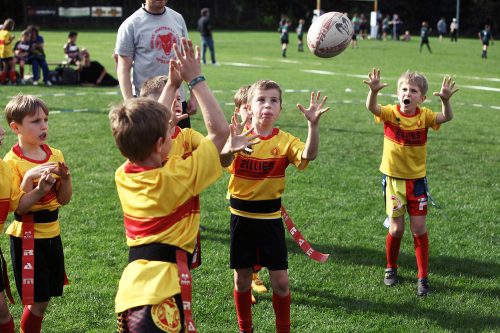 rams-turv-20-9-zwol12