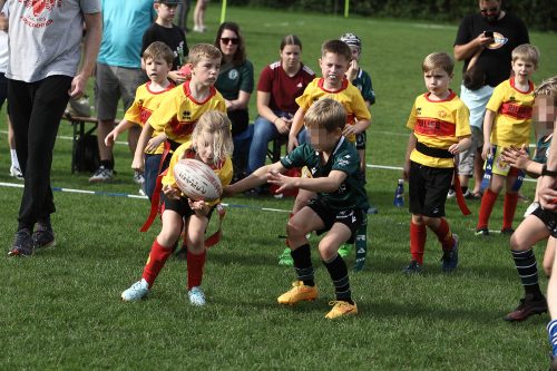 rams-turv-20-9-zwol16