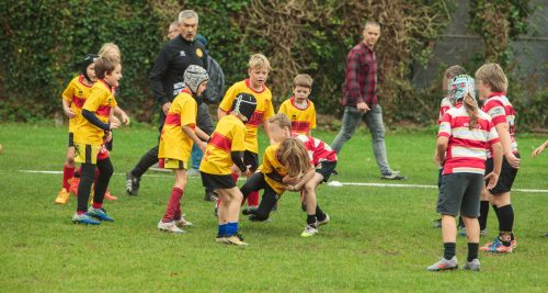 ramsapeldoorn-11okt25-307