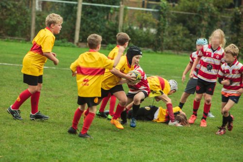 ramsapeldoorn-11okt25-310