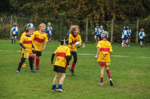 ramsapeldoorn-11okt25-311