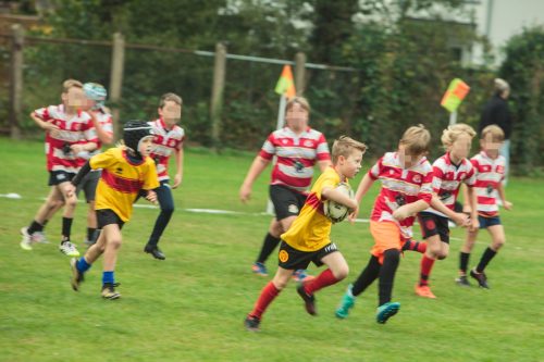 ramsapeldoorn-11okt25-312