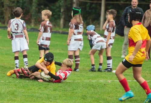 ramsapeldoorn-11okt25-314