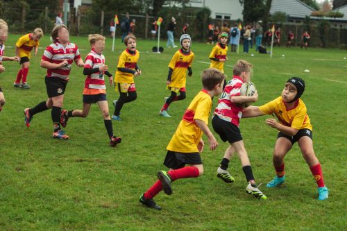 ramsapeldoorn-11okt25-318