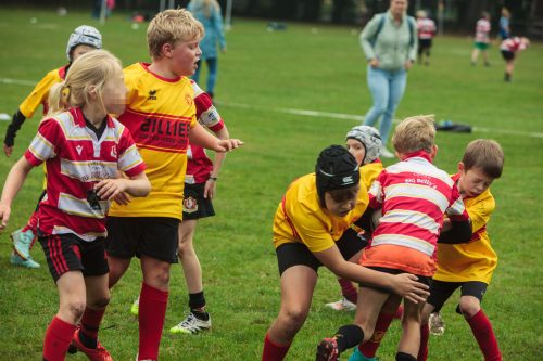 ramsapeldoorn-11okt25-320