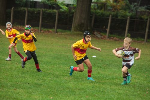 ramsapeldoorn-11okt25-331