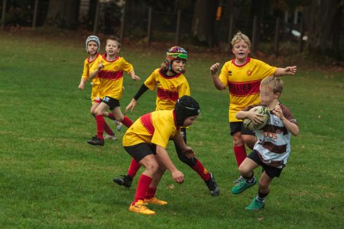 ramsapeldoorn-11okt25-332