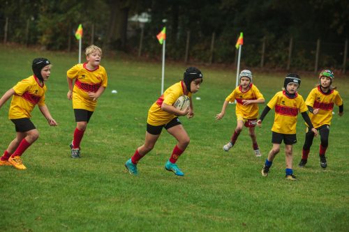 ramsapeldoorn-11okt25-336