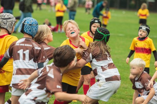 ramsapeldoorn-11okt25-342