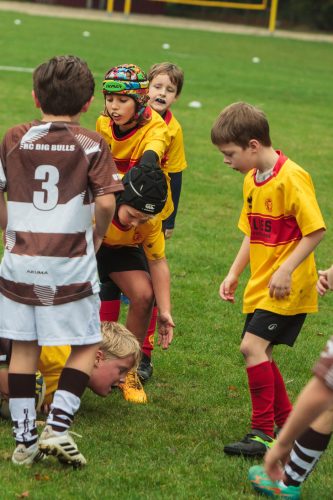 ramsapeldoorn-11okt25-344