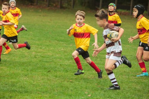 ramsapeldoorn-11okt25-349