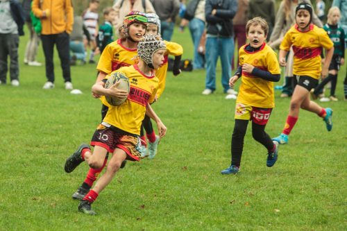 ramsapeldoorn-11okt25-373