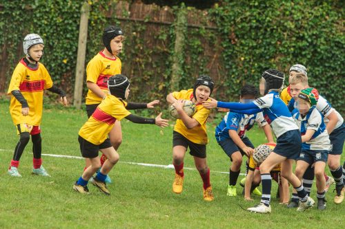 ramsapeldoorn-11okt25-380