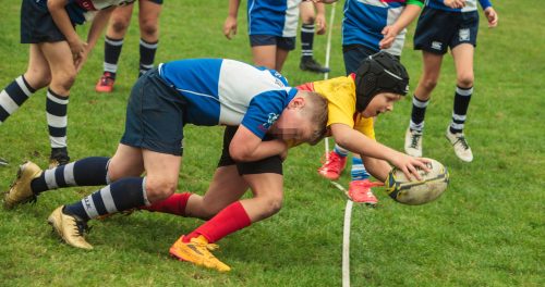 ramsapeldoorn-11okt25-386
