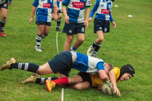 ramsapeldoorn-11okt25-387