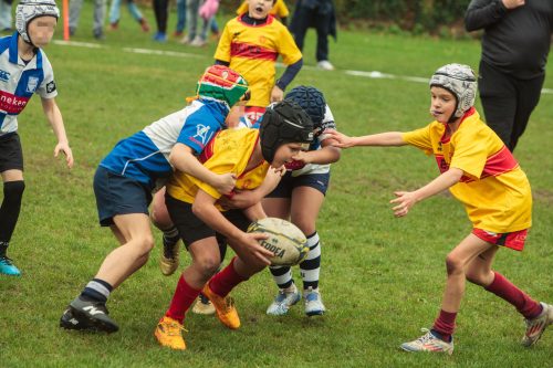 ramsapeldoorn-11okt25-393